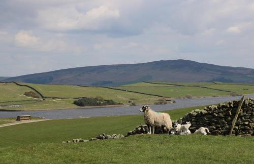 Darrowby Barn - Foto 22