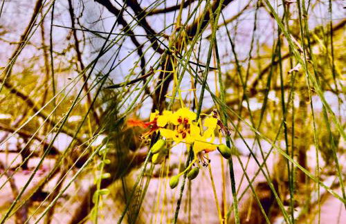 Popular Homestead! Location, Stargaze, Views! - Foto 8