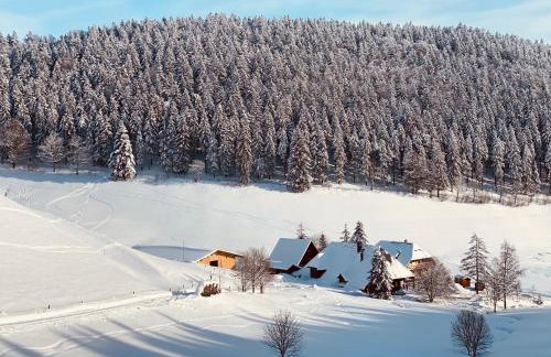 No 19 in the Black Forest - Foto 39