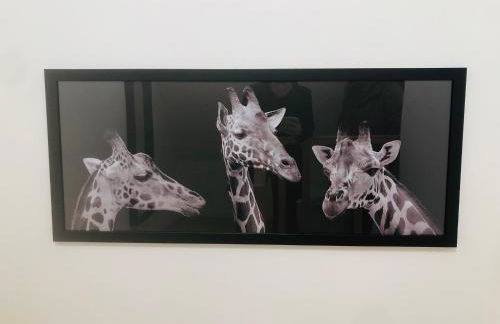 LE GITE DE LA GIRAFE CENTRE VILLE LOUVIERS - Foto 7