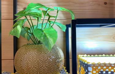 PicoTerrace View - Photo 11