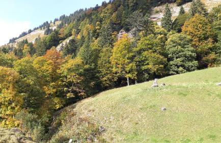 Ferienwohnung Gipfelstürmer - Foto 42