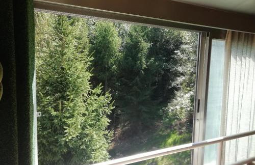 Vetrate sul bosco - Foto 10