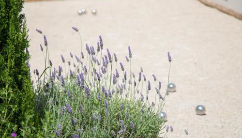 Les Villas des Fontaines - Foto 4, Garden