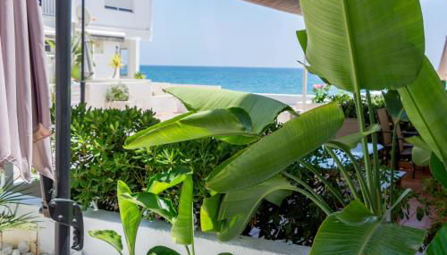 La Familia Beach Houses La Cala - Photo 3