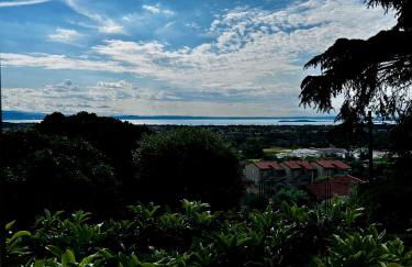 Appartamenti Picedo - Foto 11