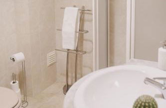 As Andorinhas - Foto 22