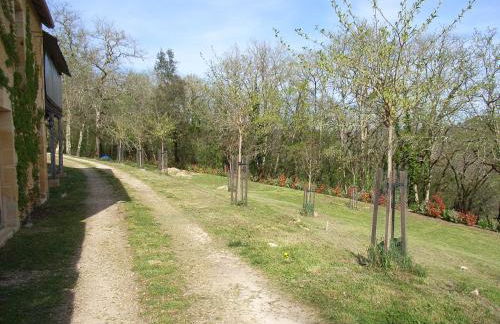 Studio aux Eyzies au coeur de la vallée de l'homme - Photo 9