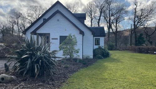 The Roost - Foto 2, Garden