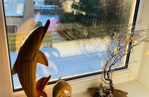 Driftwood - Photo 18