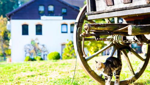 Ferienwohnung im Erzgebirge - Foto 1