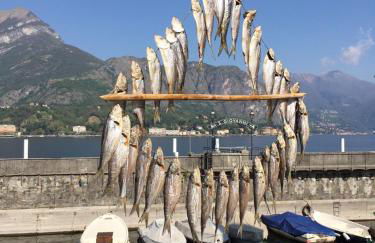 Mella Bellagio -La Corte - at the Lake with parking - Foto 31