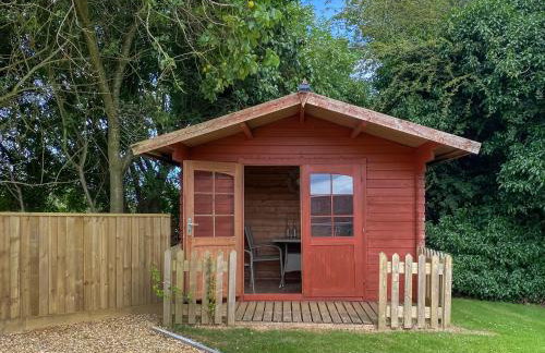 Ivy - Uk47373 - Foto 11