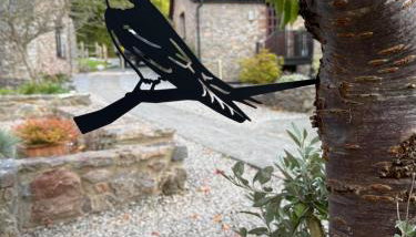 House Martin - Foto 3