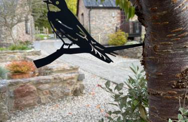 House Martin - Foto 3