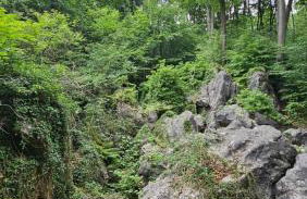 Holiday Everyday - Urlaubsparadies mit 2 Fahrrädern - Foto 19