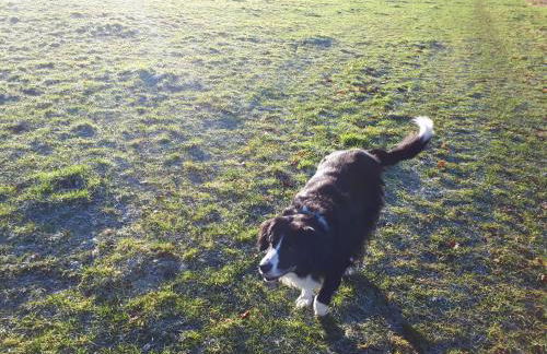Thatch Close Cottages - Foto 22