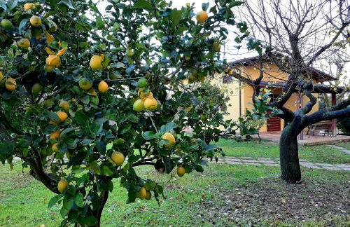 Agriturismo Podere Bedin - Foto 35