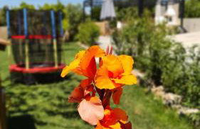 Villa Anasa Residence - Foto 68