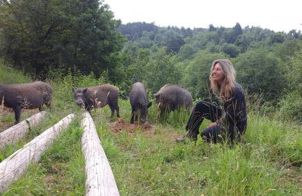 Ropuszy Dwór - Foto 18