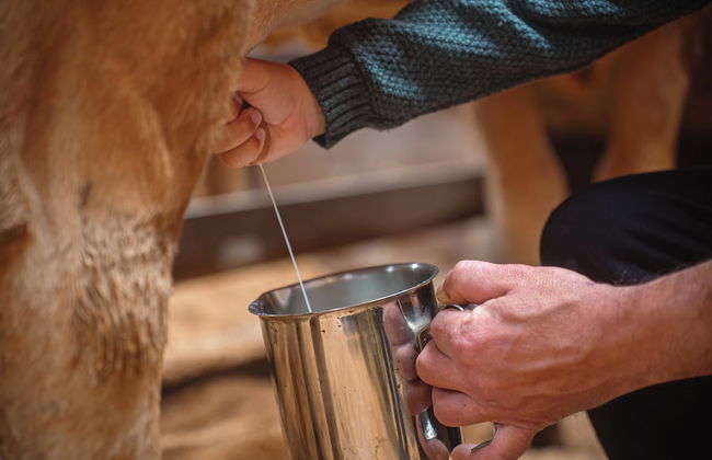 Hotel Acqua Lokos - Foto 25