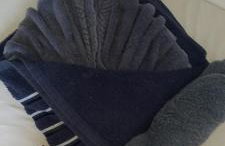 Flor de cacto - Foto 12