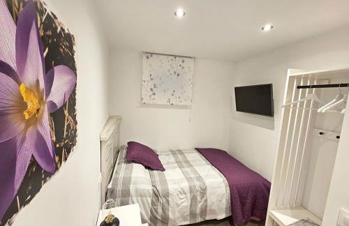 Mural del Castillo II, La Alberca - Foto 31