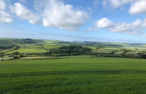 Court Cottage - cosy traditional cottage near lovely beaches - Foto 11