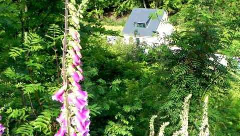 Ferienhaus Buschmuehle - Stolpen - Foto 2