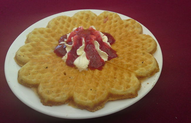 Kvarngården Natur Resort - Foto 48