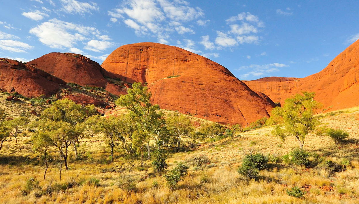 Aluguel de bicicleta em Uluru-Kata Tjuta