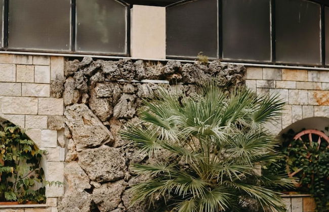 Obrava Guesthouse Kotroni Trikalon - Photo 49