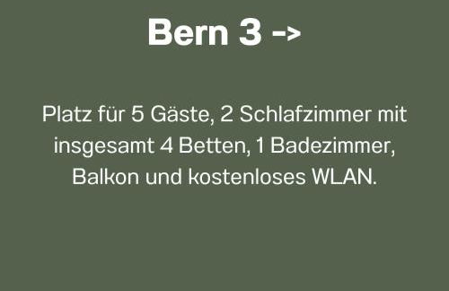 Ferienwohnungen Bernsdorfer Straße Chemnitz - zentrumsnah, teilweise mit Balkon oder Terrasse, große Parkanlage - ideal für Familien, Paare und Geschäftsleute - Foto 23