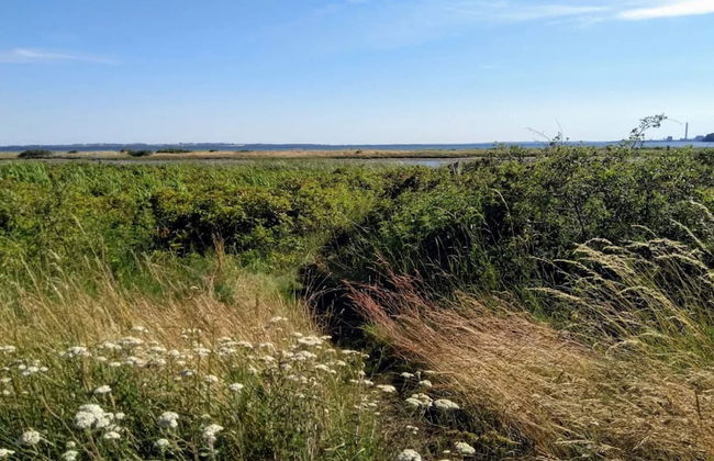 4 Star Holiday Home in Ronde - Foto 12