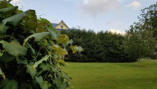 BaseCampWV-Durbin. Spacious 4 bedroom house w/yard - Foto 5