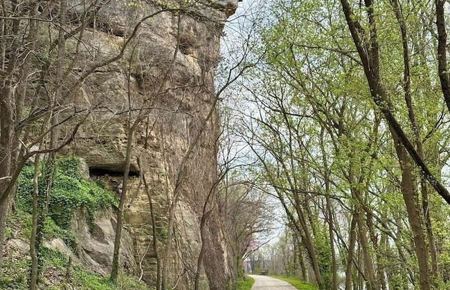 The Mercantile on the Katy Trail - Photo 38