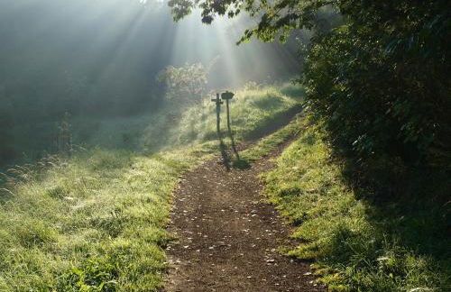 Ferienwohnung Zauberhaft - Foto 16