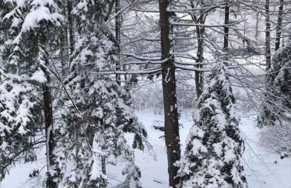 Majestic Lake Front Chalet - Foto 47