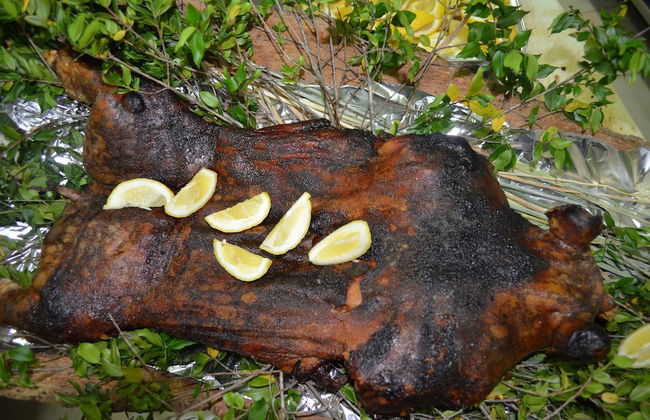 Agriturismo Agrifoglio - Foto 40