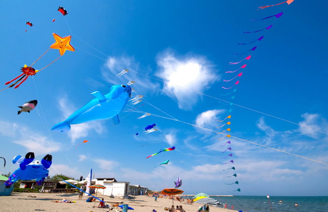 Happy Easy - Foto 30