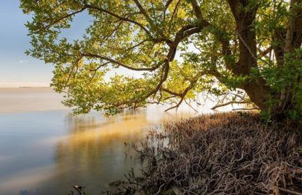 Insta Worthy Oasis - Foto 20