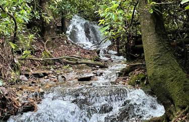 Meraki Escape - Foto 45