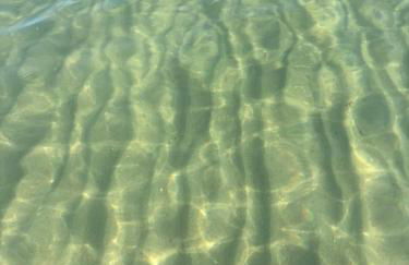 Country House Sensby - Schlei retreat with fireplace & garden - Photo 20