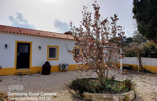 Monte Machial - Foto 16