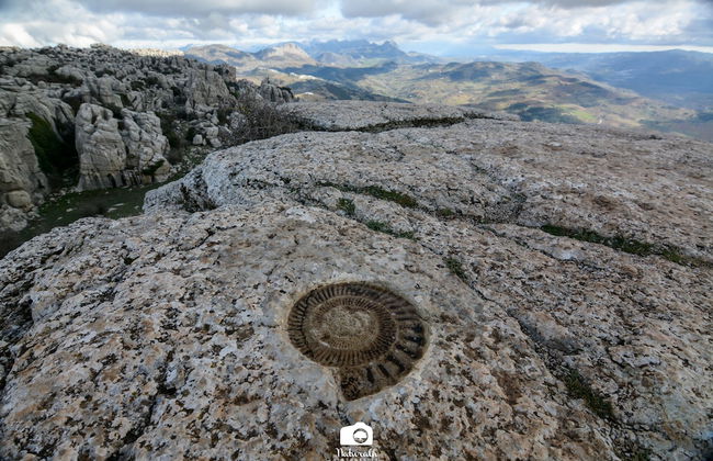 TOTTAM EXPERIENCE - Foto 56