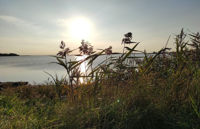 Haus am Merr auf Fehmarn OT Westerbergen - Foto 32