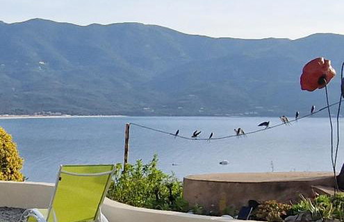 Résidence U MELU Grand T2 BLEU en rez de jardin - Foto 31