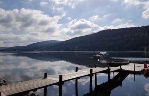 Titisee Haus Vogelnest - Photo 62