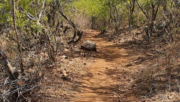 Rota do Cangaço Day Trip - Foto 5