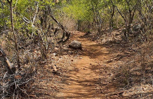 Rota do Cangaço Day Trip - Foto 5